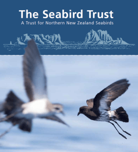 SeabirdTrust